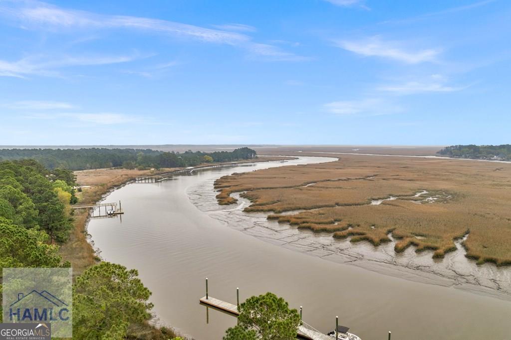 Lot 29 Jerico Marsh Road Midway, GA 31320 - Photo 5 of 14 an aerial view of ocean and trees