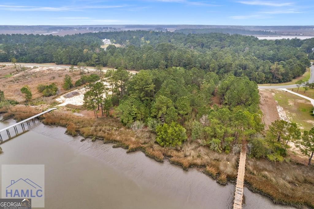 Lot 29 Jerico Marsh Road Midway, GA 31320 - Photo 7 of 14 a view of city and mountain