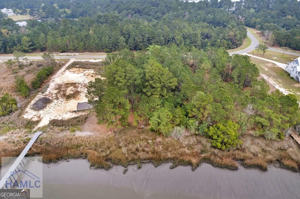 Lot 29 Jerico Marsh Road Midway, GA 31320 - Photo 8 of 14 a view of a yard with trees
