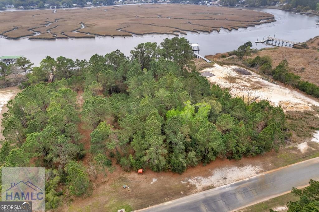 Lot 29 Jerico Marsh Road Midway, GA 31320 - Photo 10 of 14 an aerial view of a house with a yard
