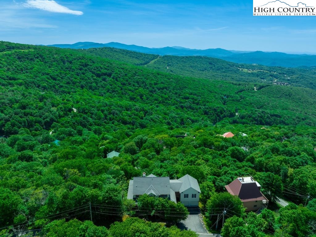 302 North Pinnacle Ridge Road Beech Mountain, NC 28604 - Photo 4 of 44 Gallery Image 4