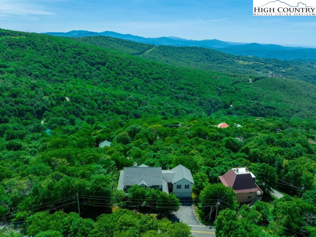 302 North Pinnacle Ridge Road Beech Mountain, NC 28604 - Photo 41 of 44 Gallery Image 41