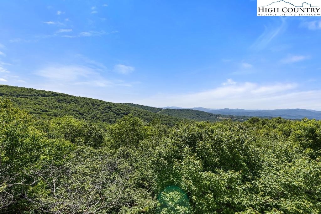302 North Pinnacle Ridge Road Beech Mountain, NC 28604 - Photo 43 of 44 Gallery Image 43