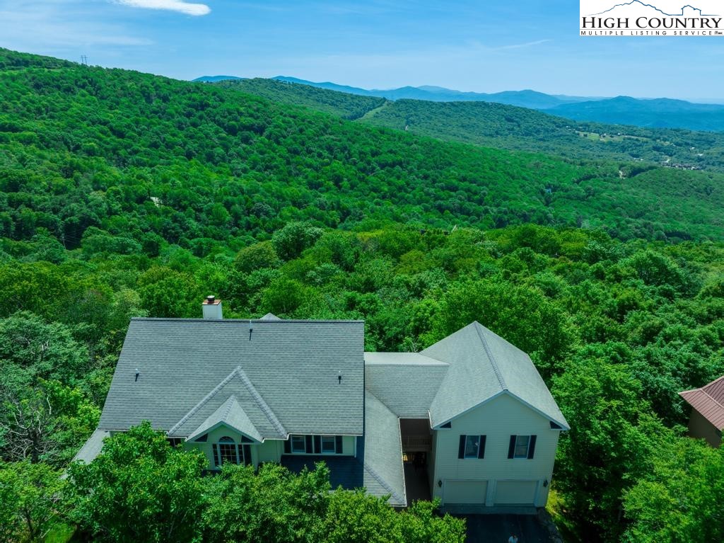 302 North Pinnacle Ridge Road Beech Mountain, NC 28604 - Photo 6 of 44 Gallery Image 6