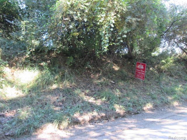 65338 Dequindre Road Washington, MI 48095 - Photo 27 of 28 IMG_0436.jpg