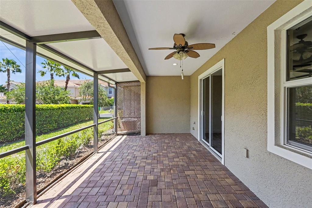 1264 Riserva Lane Palm Harbor, FL 34683 - Photo 15 of 16