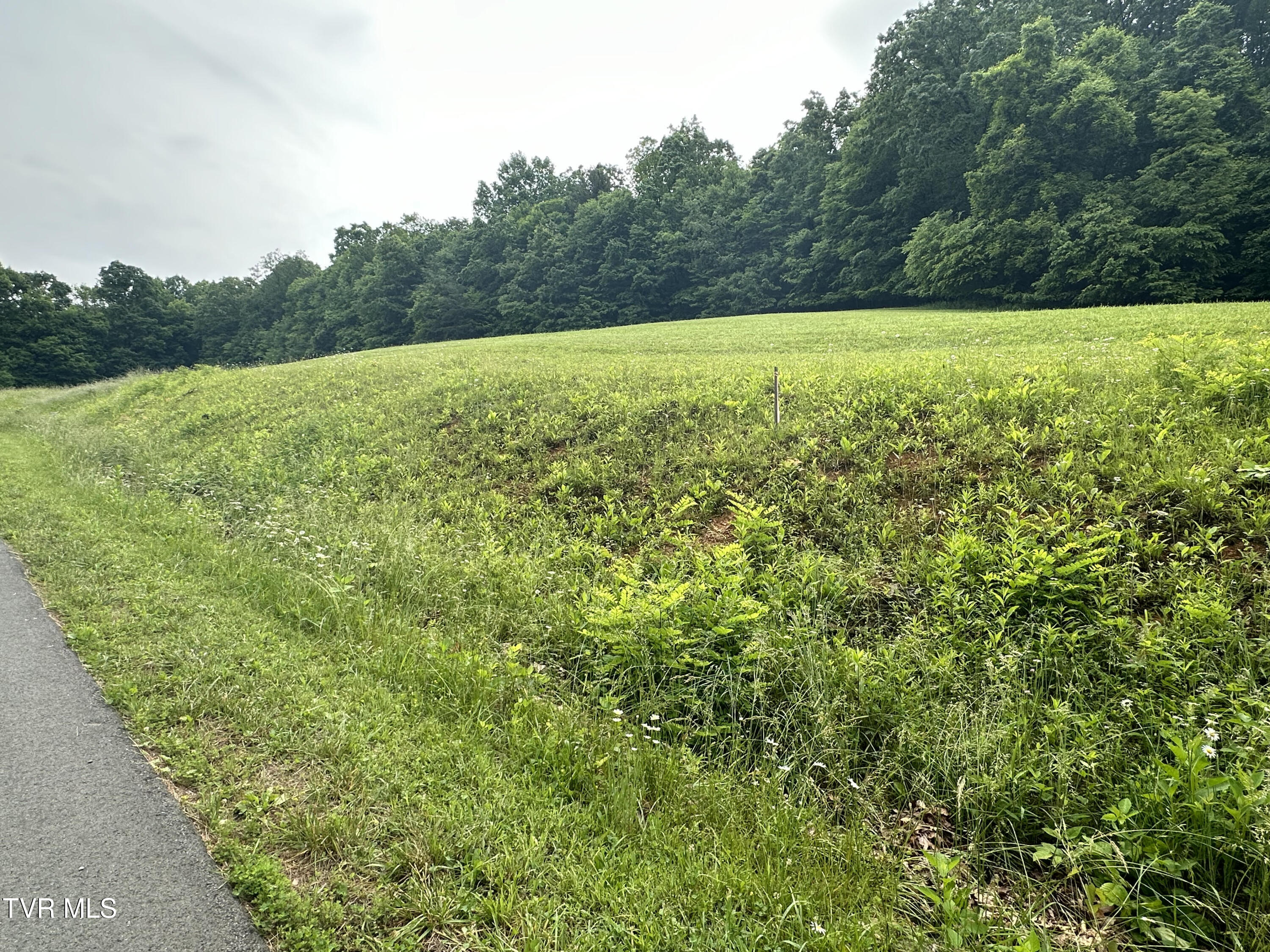 Lot 8 High Country Road, Unit 8 Butler, TN 37640 - Photo 11 of 15 butler13
