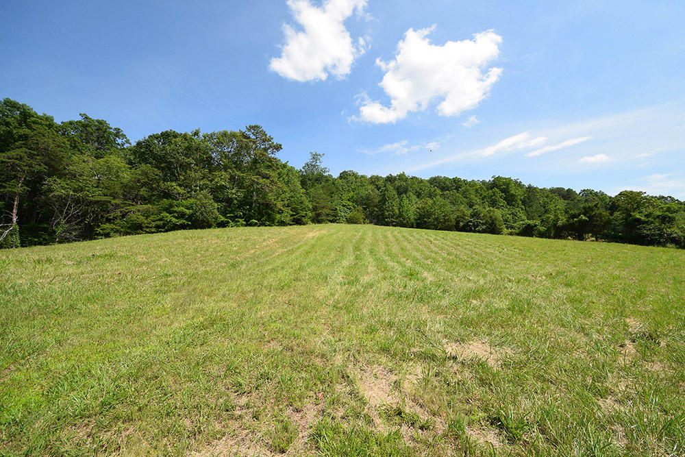 1351 Sugar Creek Road Southeast Georgetown, TN 37336 - Photo 33 of 36 1351_Sugar_Creek_Rd_31