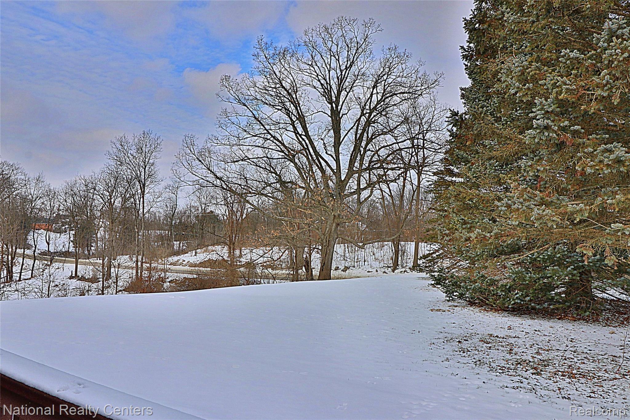 8290 Bergin Road Howell, MI 48843 - Photo 32 of 47 View from Deck