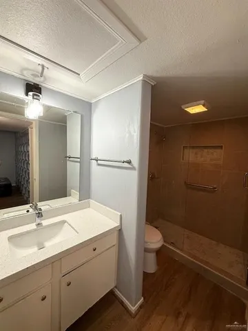 a bathroom with a sink a toilet a shower and a mirror