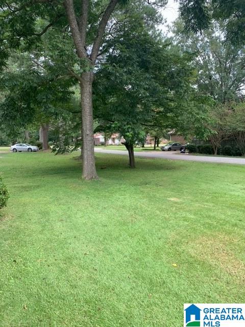 916 Pine Hill Road Birmingham, AL 35235 - Photo 11 of 11