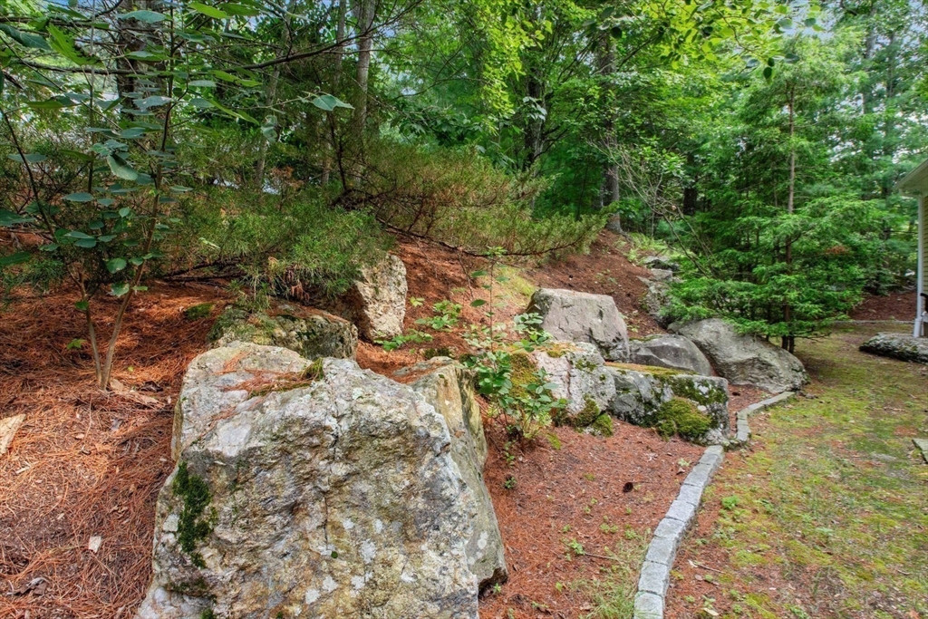 4 The Fairways Ipswich, MA 01938 - Photo 38 of 40 a view of a yard with plants and large trees