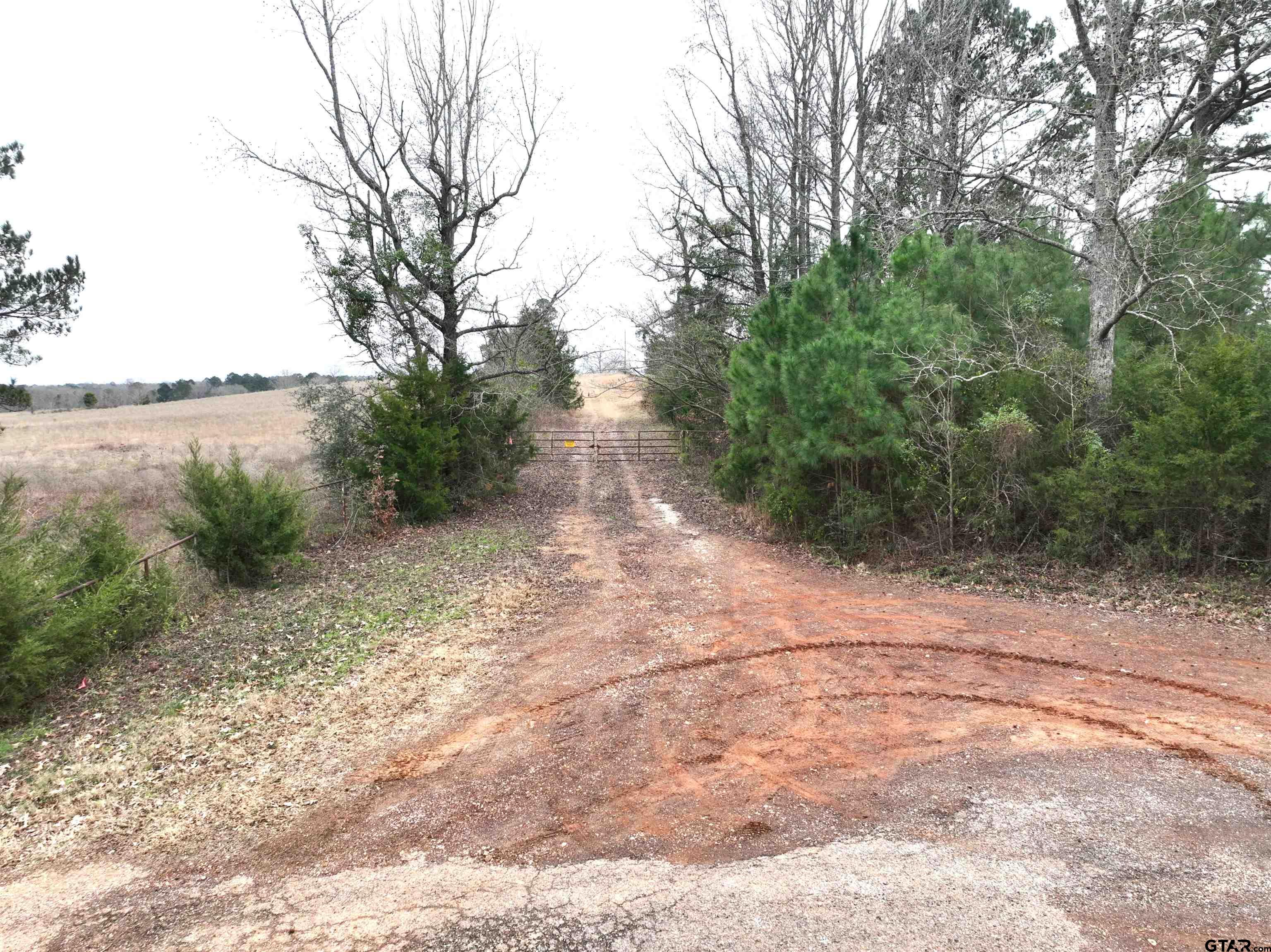Tbd Wild Daisy Road Ore City, TX 75683 - Photo 14 of 24