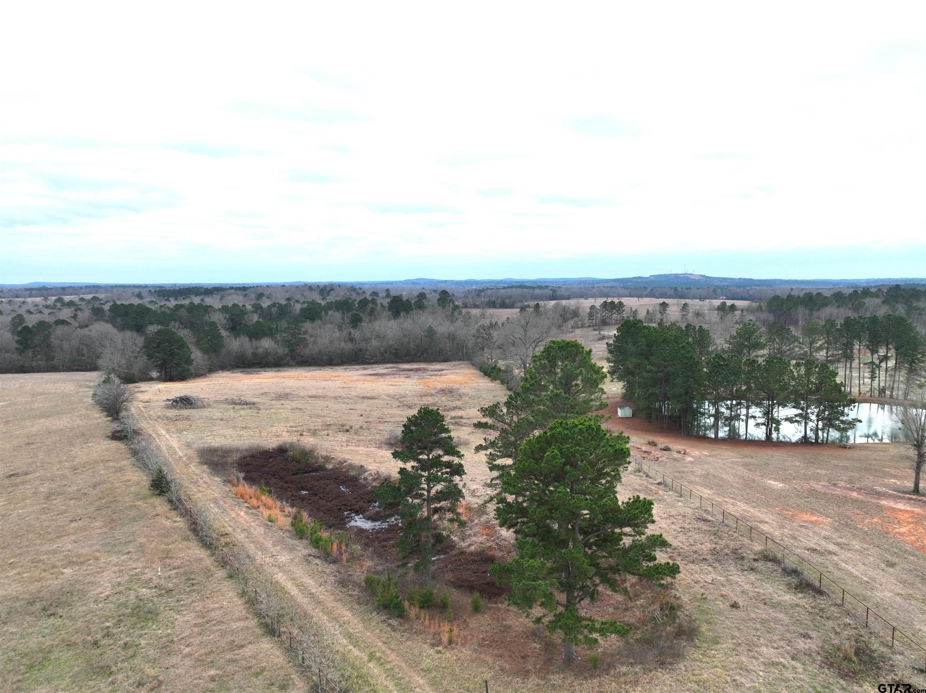 Tbd Wild Daisy Road Ore City, TX 75683 - Photo 15 of 24