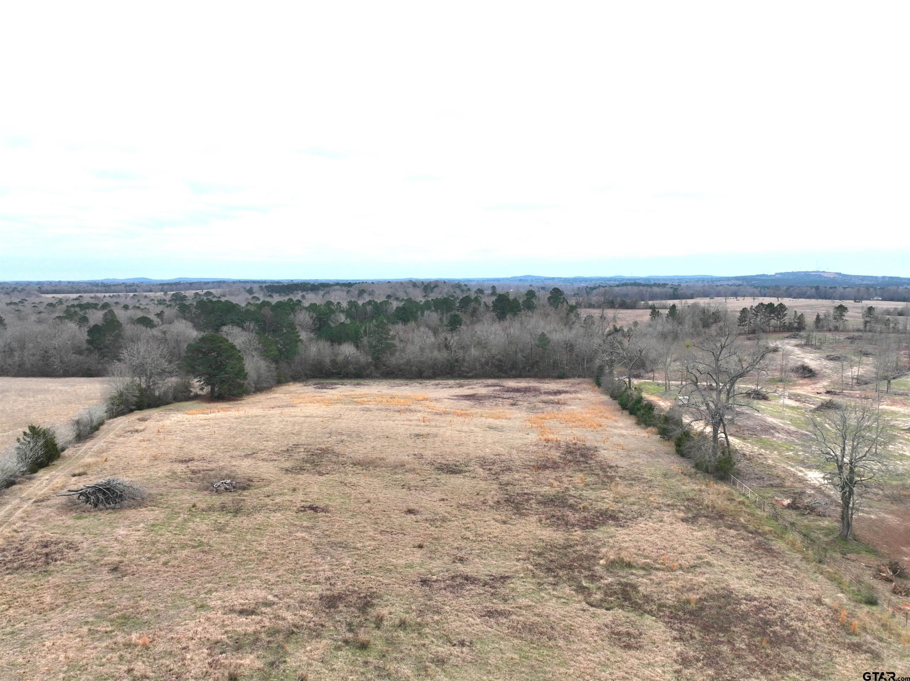 Tbd Wild Daisy Road Ore City, TX 75683 - Photo 16 of 24