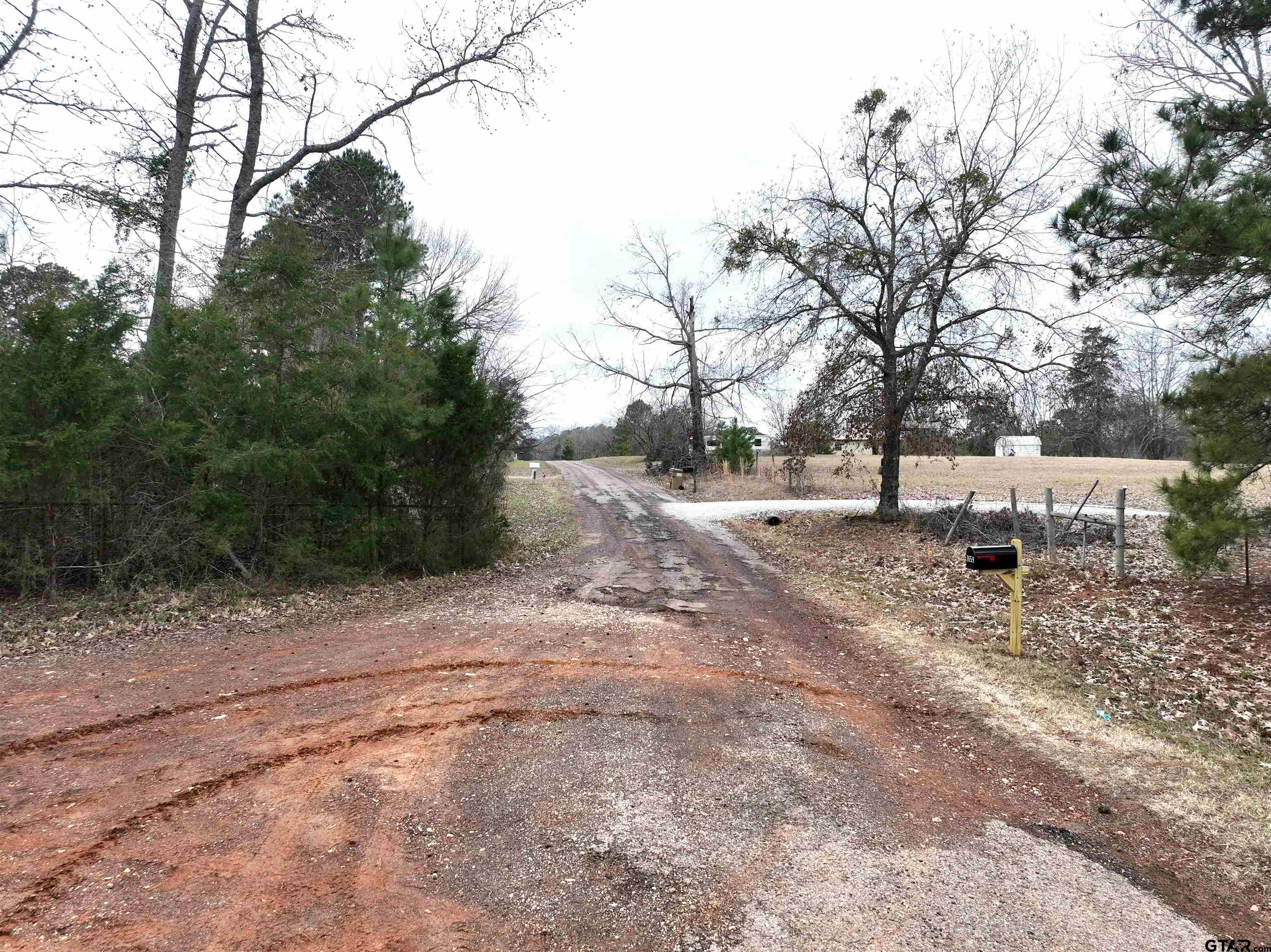 Tbd Wild Daisy Road Ore City, TX 75683 - Photo 18 of 24