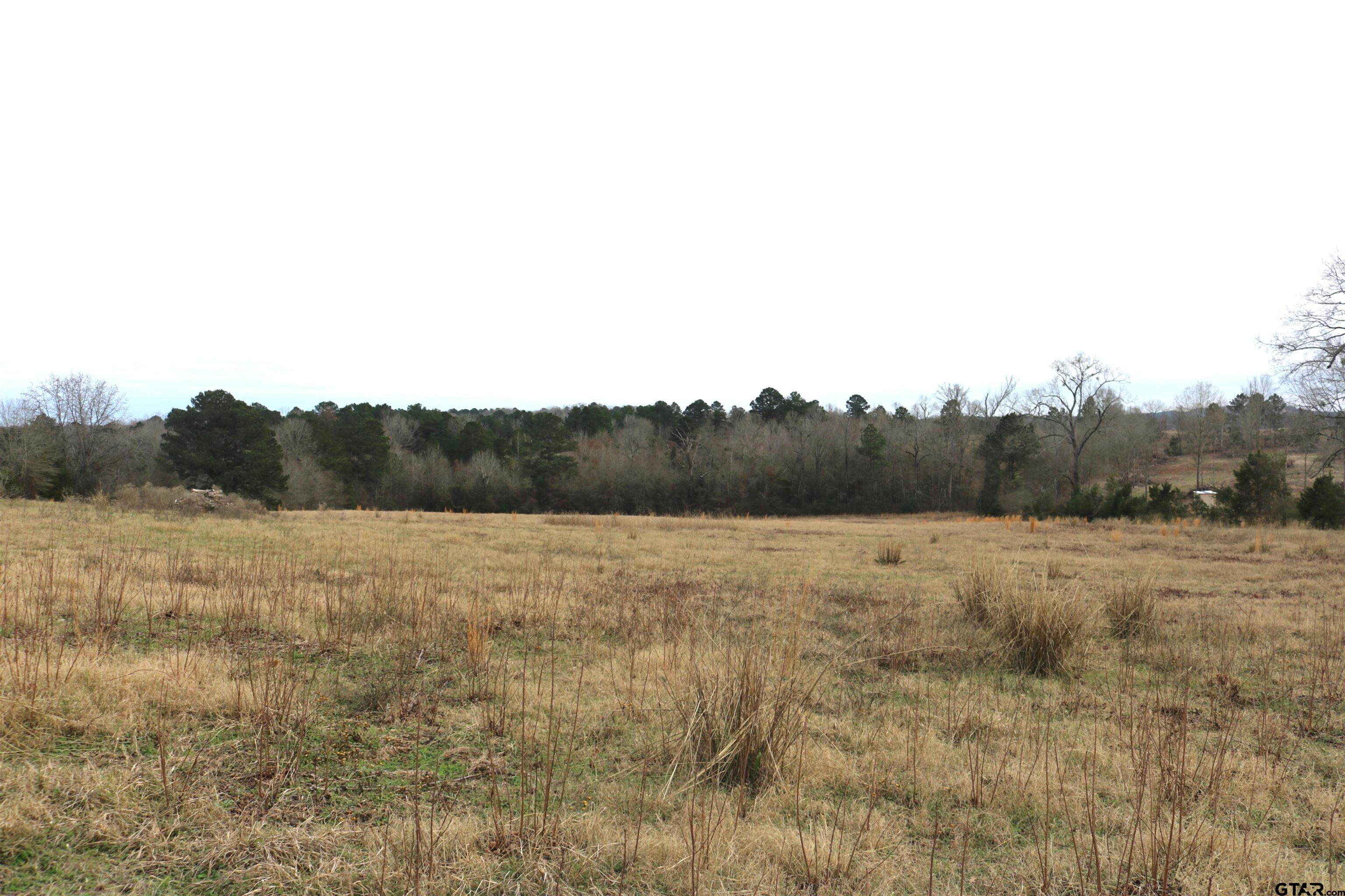 Tbd Wild Daisy Road Ore City, TX 75683 - Photo 19 of 24