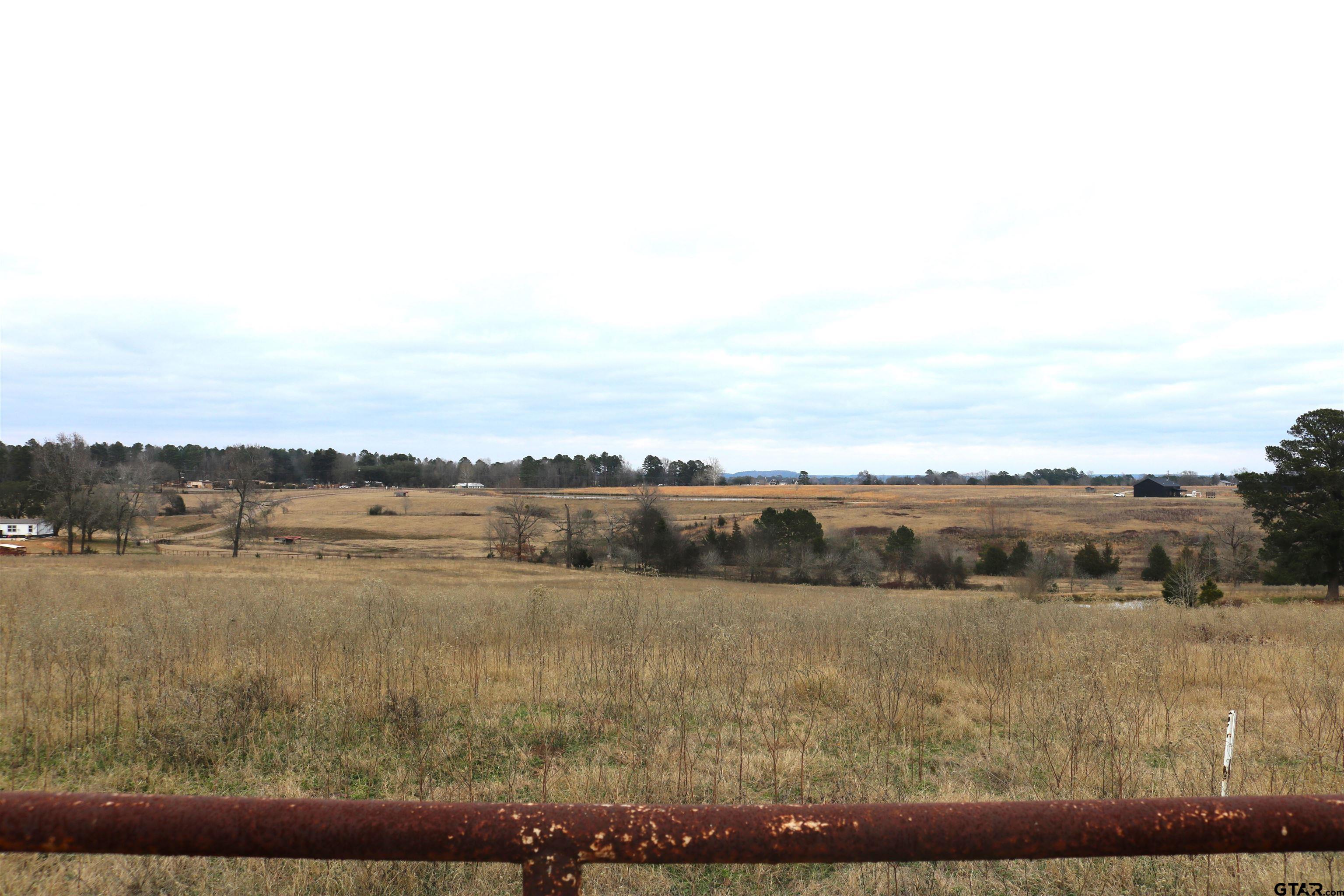 Tbd Wild Daisy Road Ore City, TX 75683 - Photo 20 of 24