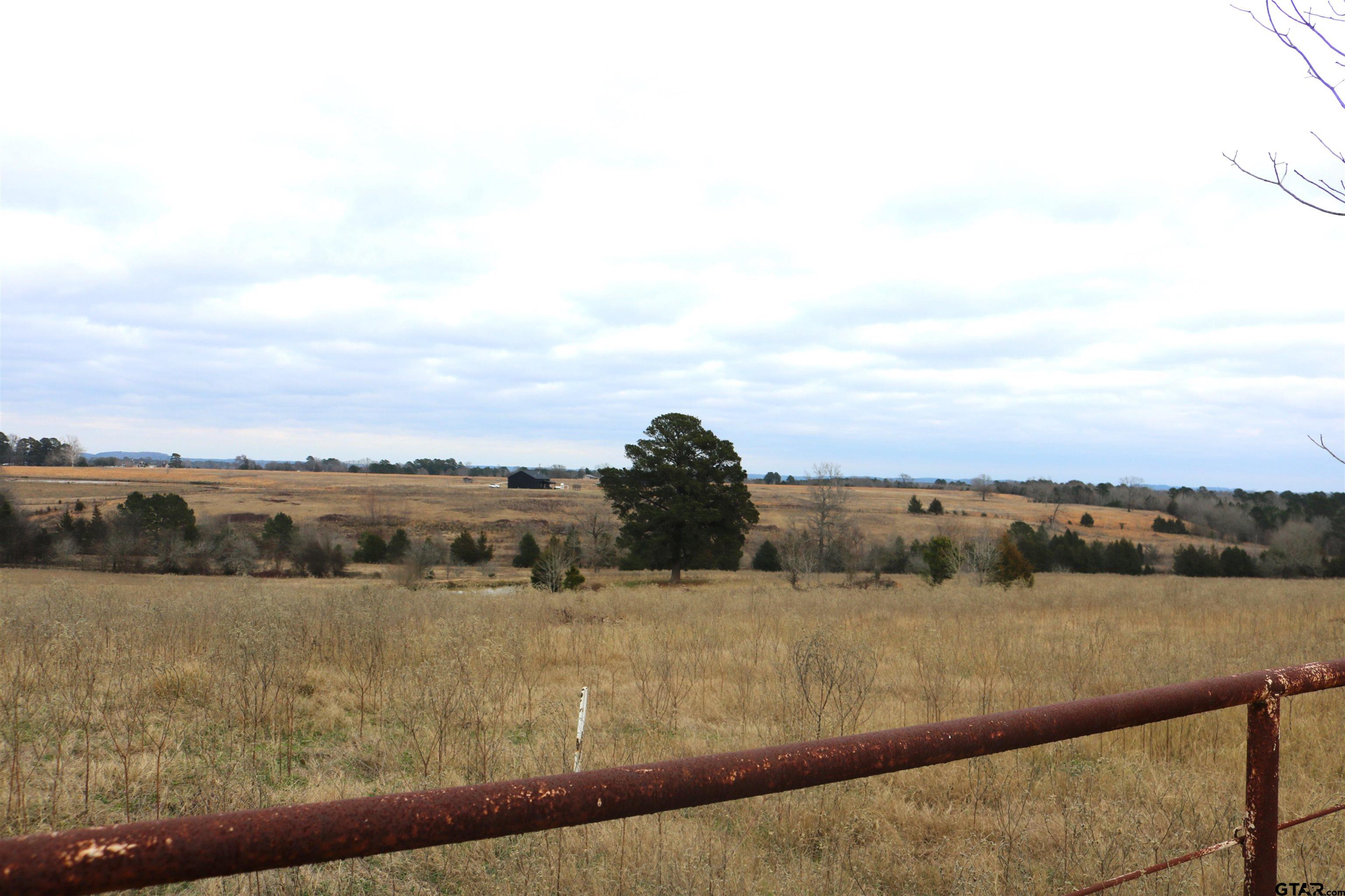 Tbd Wild Daisy Road Ore City, TX 75683 - Photo 21 of 24