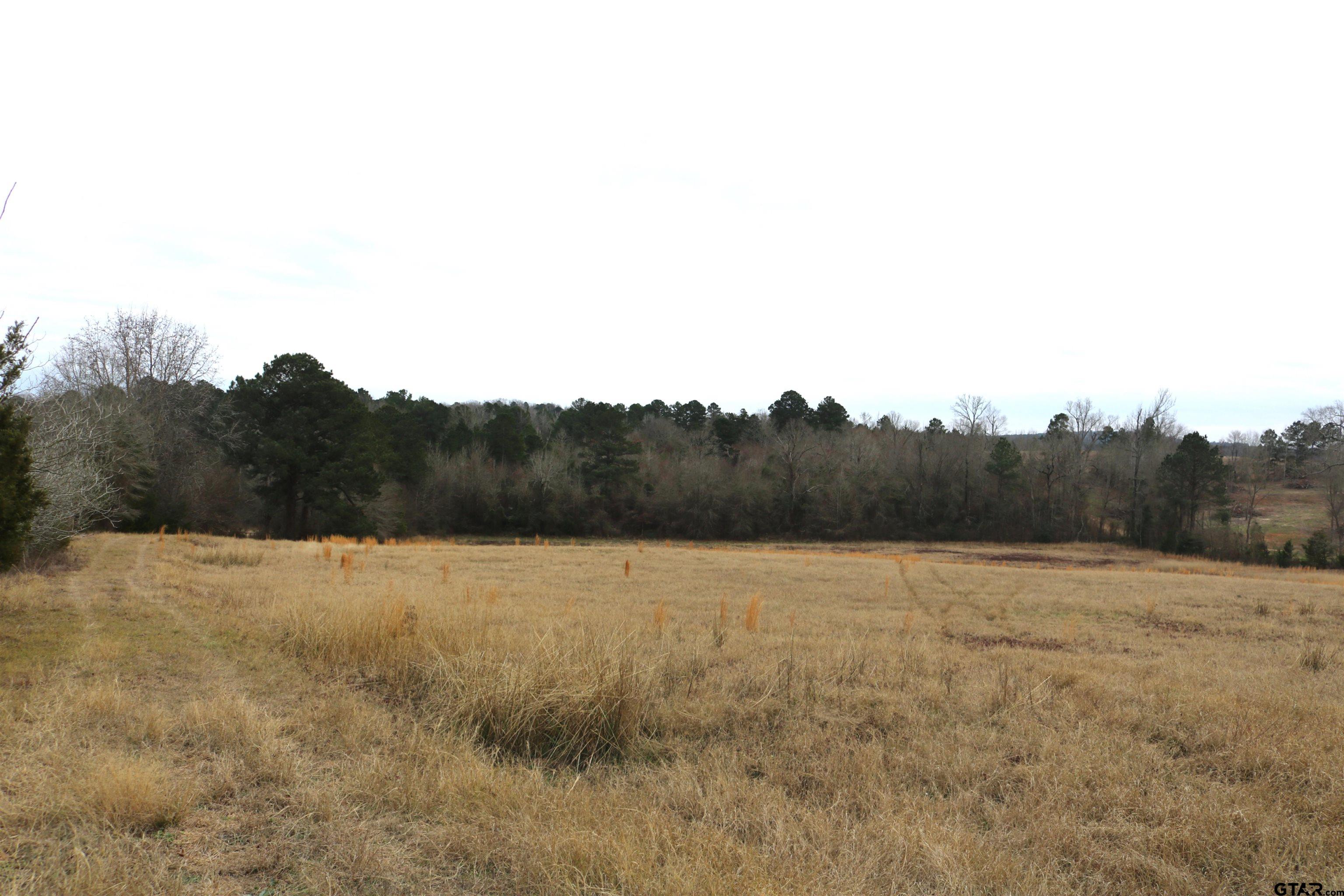 Tbd Wild Daisy Road Ore City, TX 75683 - Photo 22 of 24