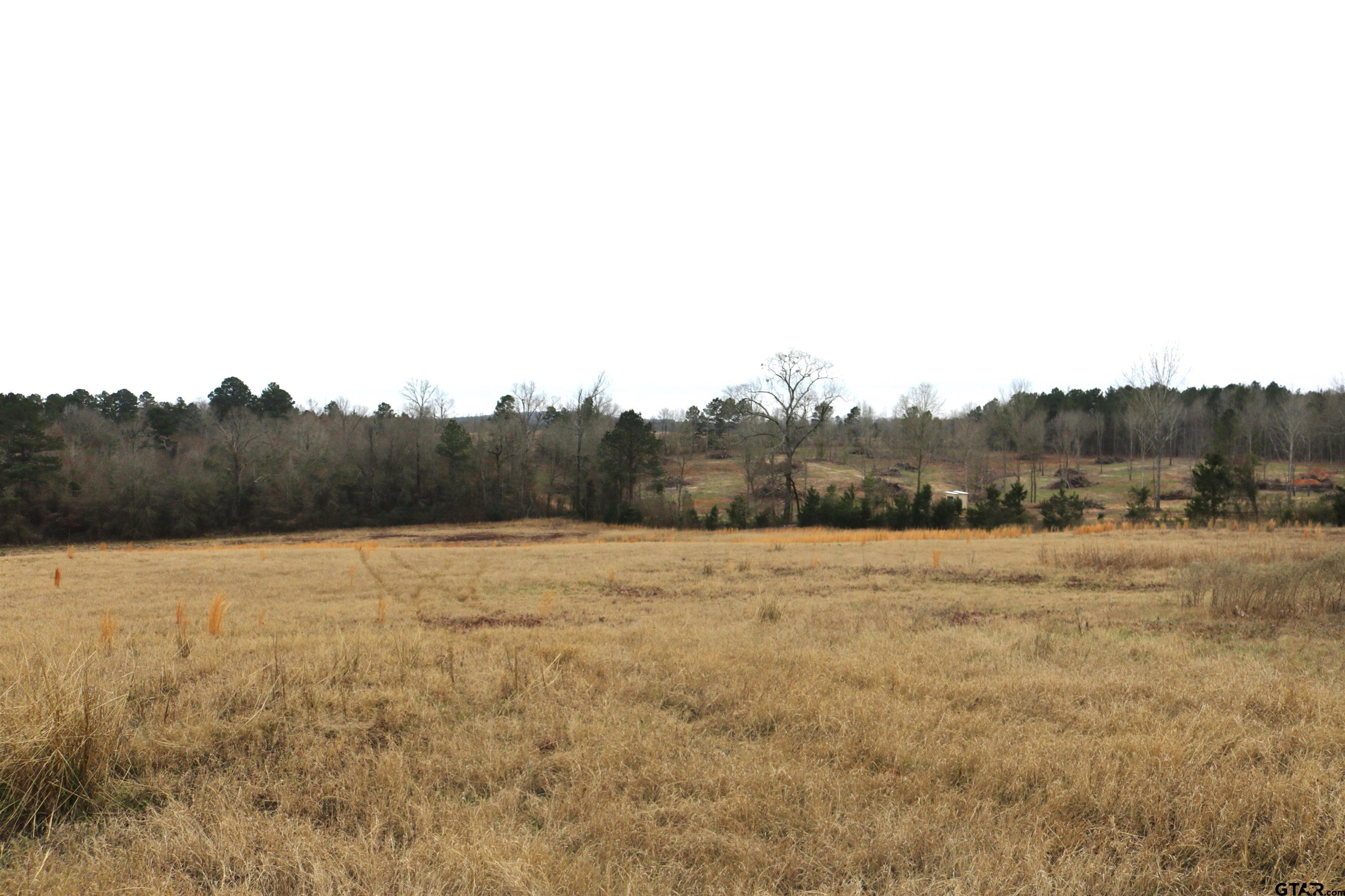 Tbd Wild Daisy Road Ore City, TX 75683 - Photo 23 of 24