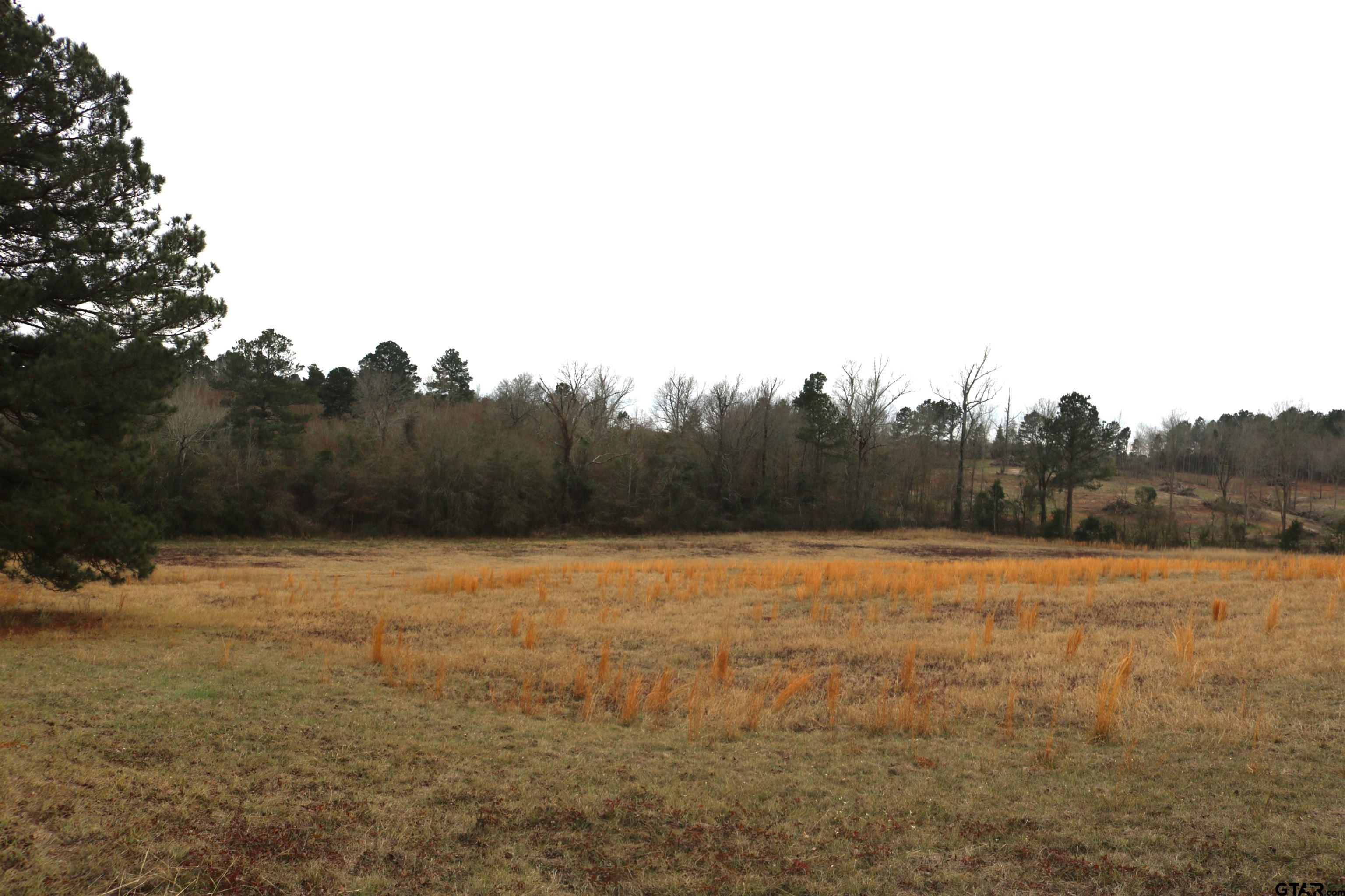 Tbd Wild Daisy Road Ore City, TX 75683 - Photo 24 of 24