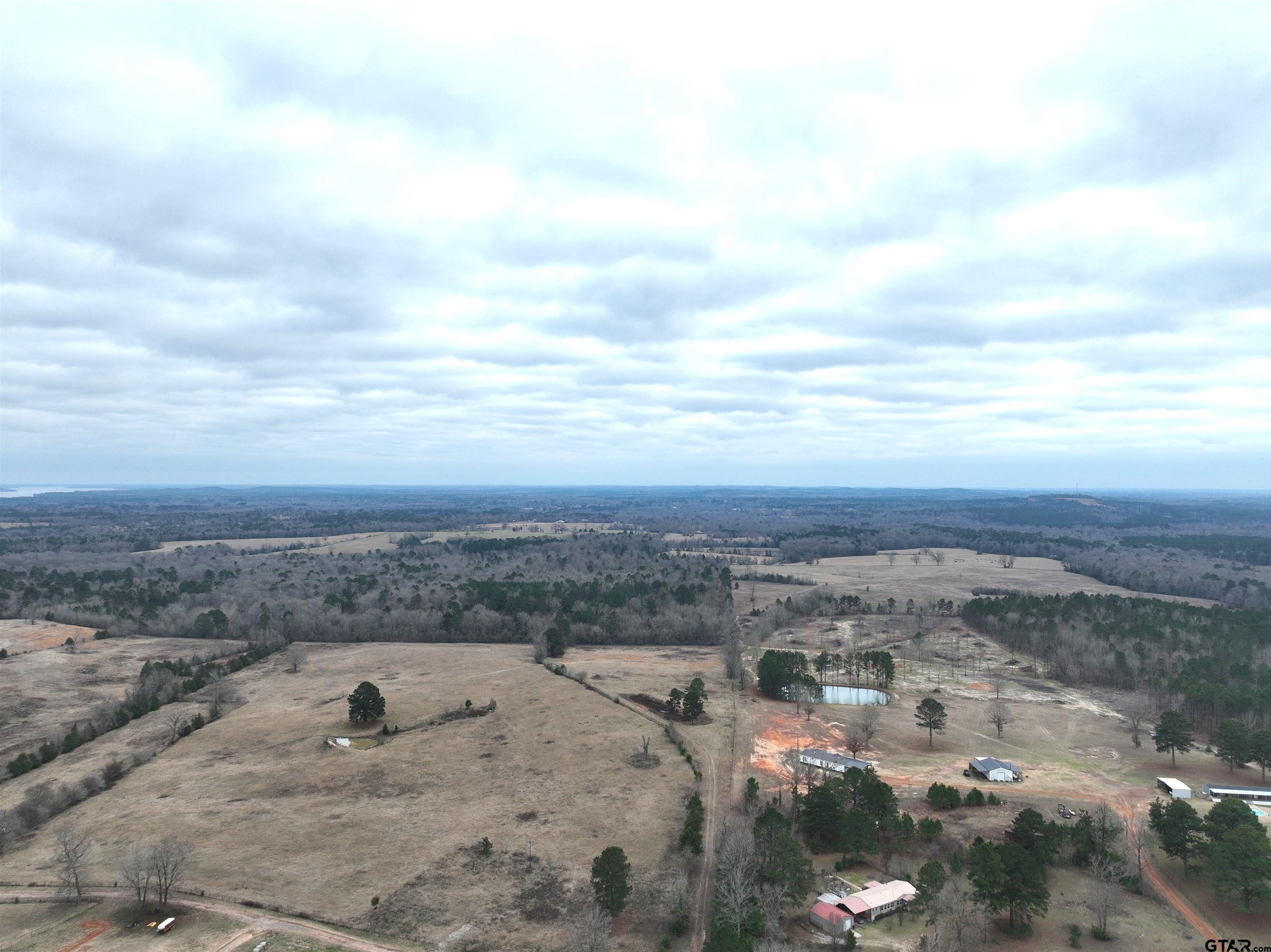 Tbd Wild Daisy Road Ore City, TX 75683 - Photo 4 of 24