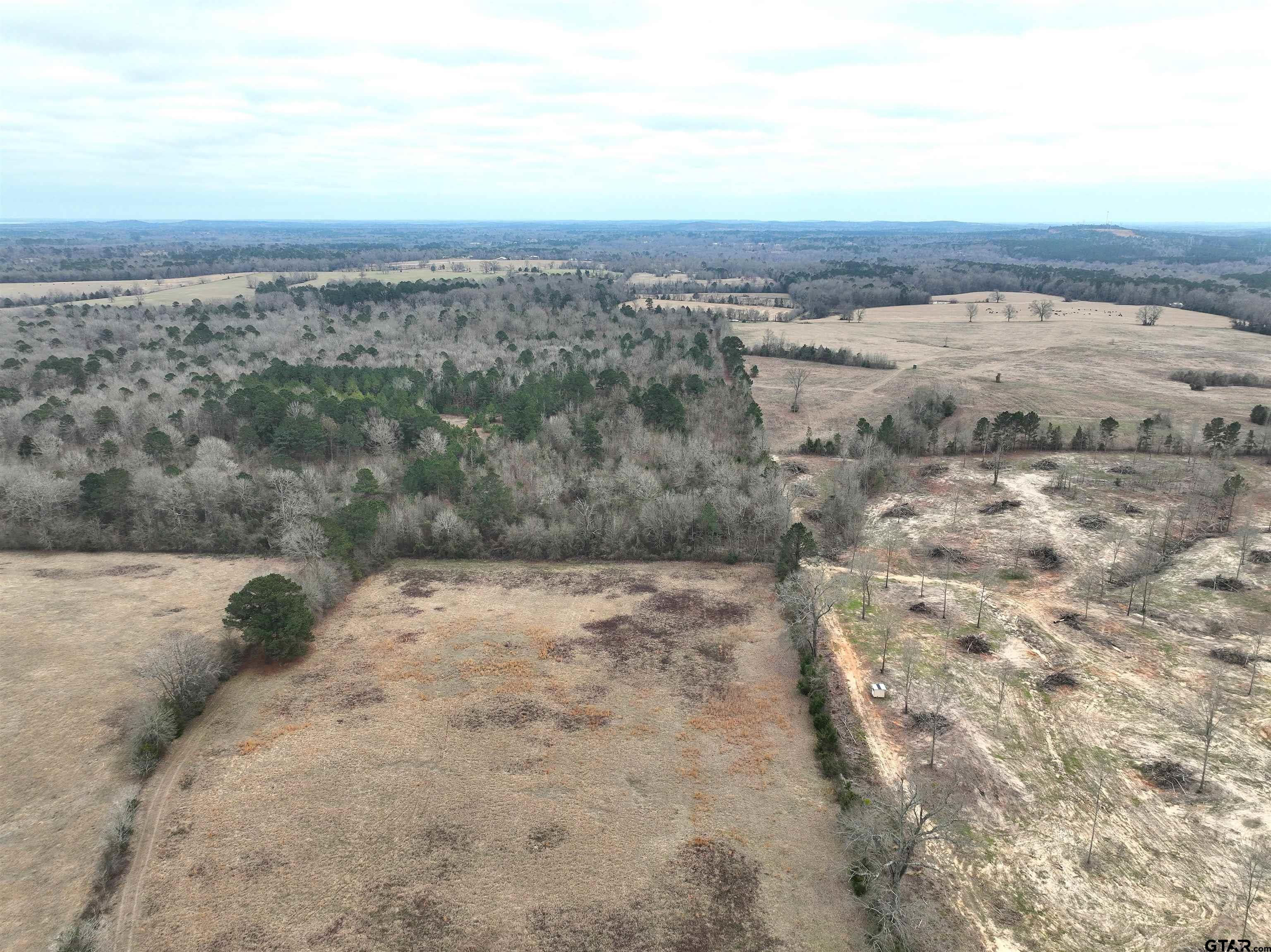 Tbd Wild Daisy Road Ore City, TX 75683 - Photo 7 of 24