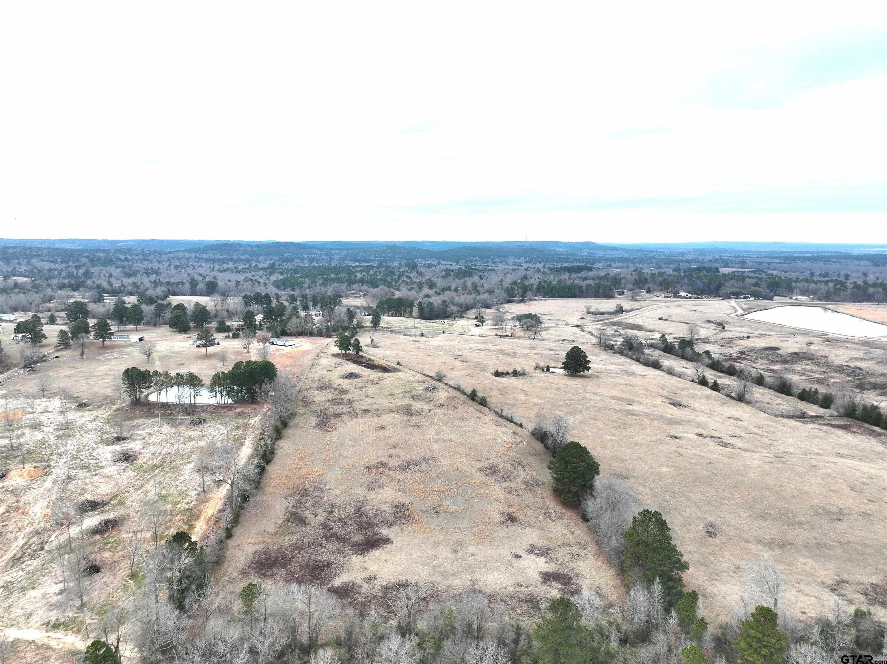 Tbd Wild Daisy Road Ore City, TX 75683 - Photo 9 of 24