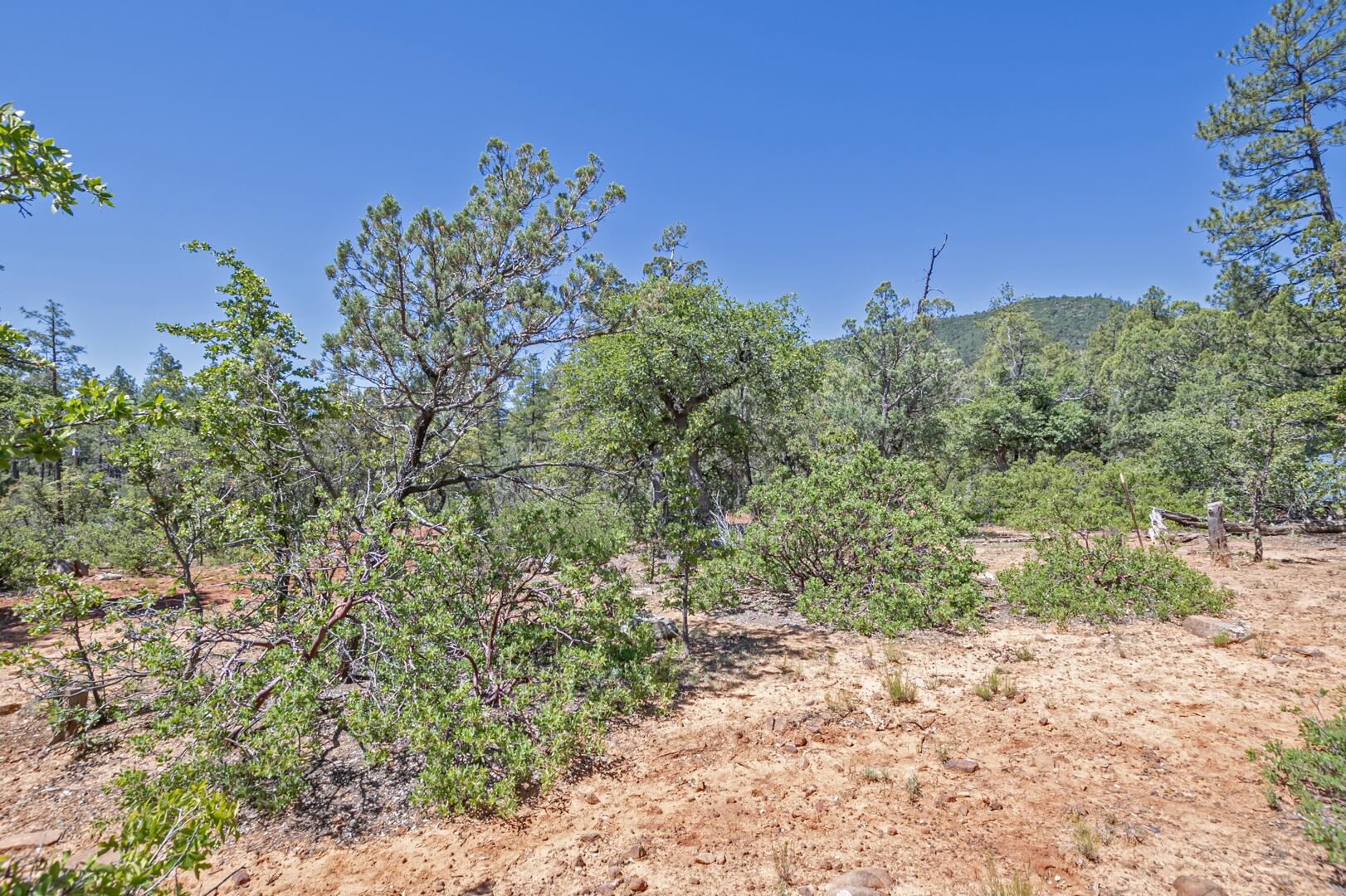 470 Pine Rd Pine Payson, AZ 85541 - Photo 17 of 17