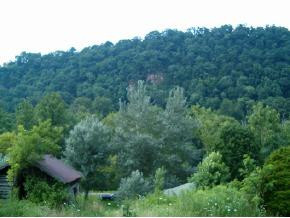 Tbd Bee Cliff Road Elizabethton, TN 37643 - Photo 8 of 9 Photo 8