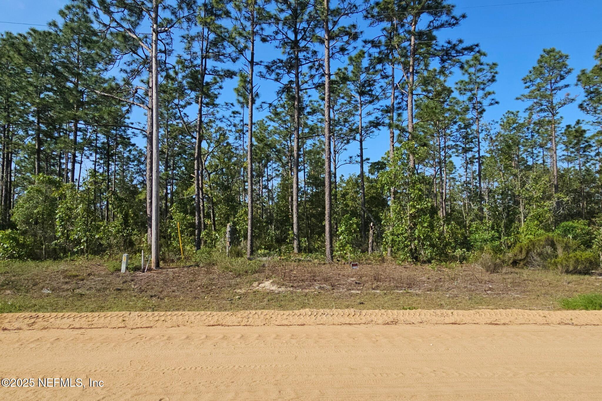 219 Cessna Way Hawthorne, FL 32640 - Photo 1 of 6 a view of a yard