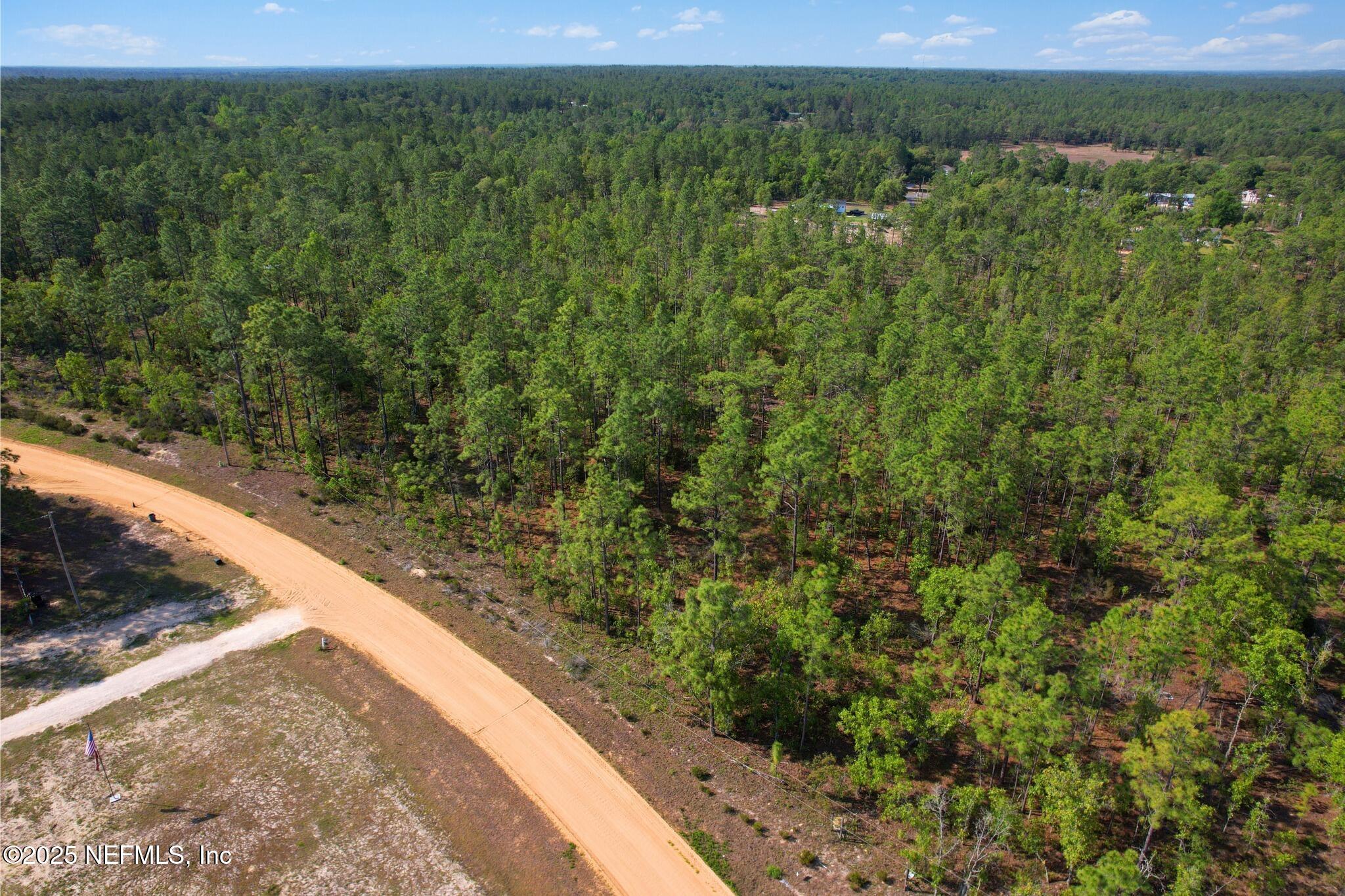 219 Cessna Way Hawthorne, FL 32640 - Photo 3 of 6 a view of a yard with a tree