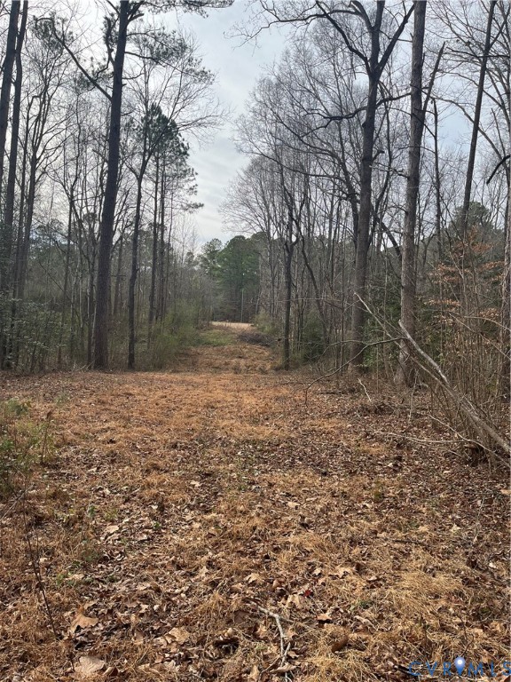 14711 Gatewood Road Dewitt, VA 23840 - Photo 3 of 3