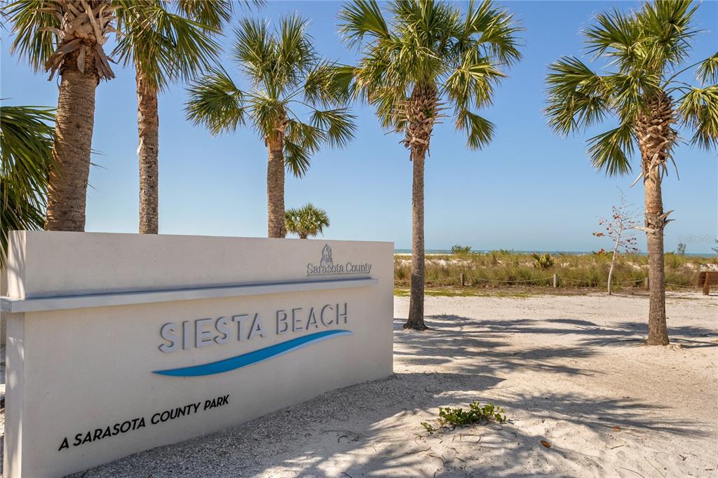 5830 Midnight Pass Road, Unit T22 Sarasota, FL 34242 - Photo 53 of 65 a view of palm trees and palm tree