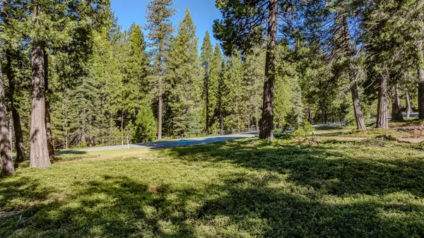 $95,000 | 27460 Highway 88, Pioneer, CA 95666