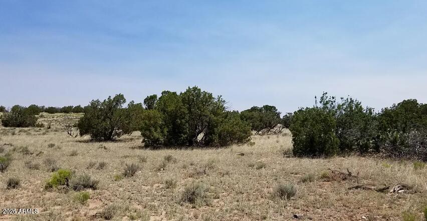 234 County Road St. Johns, AZ 85936 - Photo 8 of 13 234 County Rd N6371