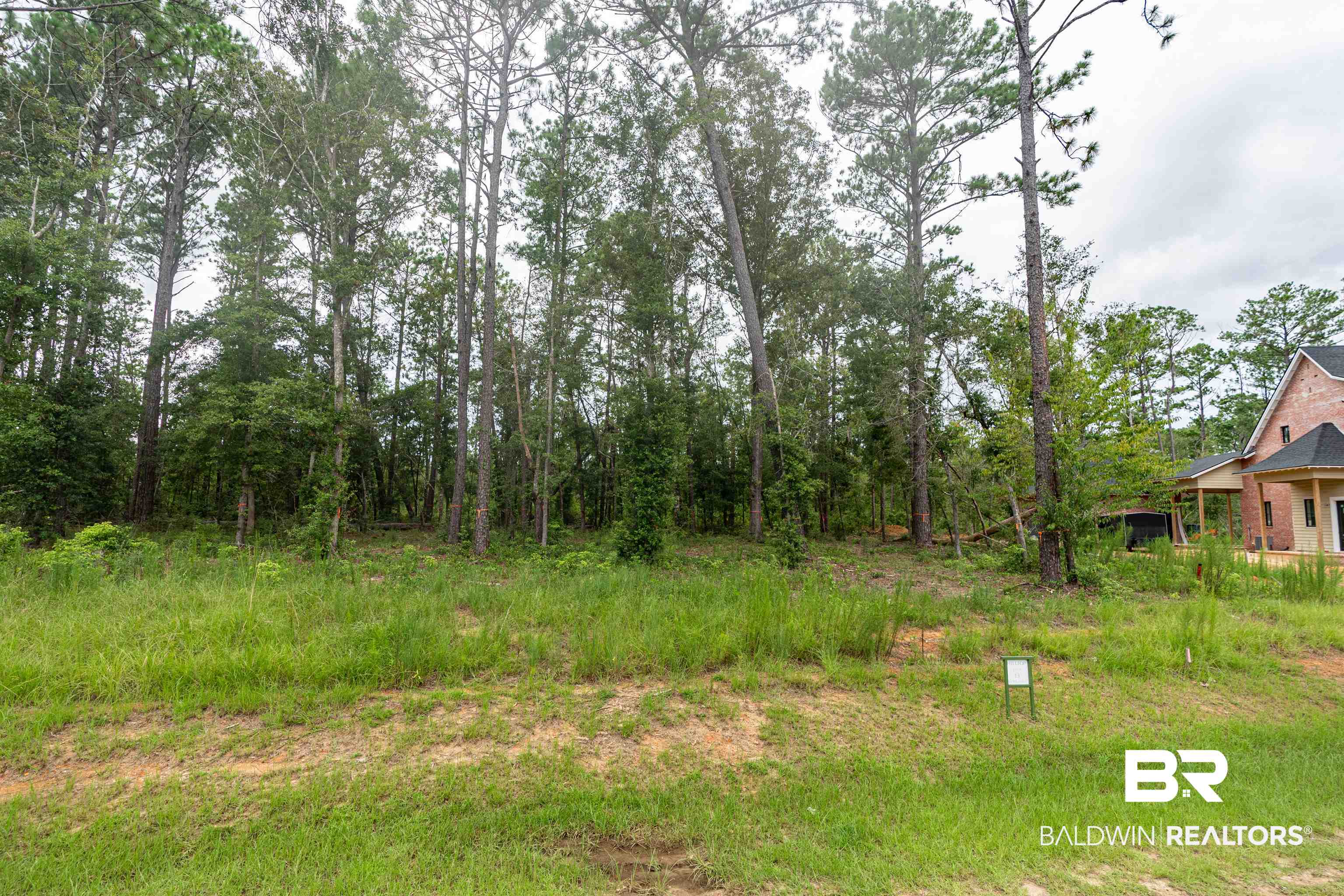 Lot 13 Petiole Drive Fairhope, AL 36532 - Photo 8 of 15