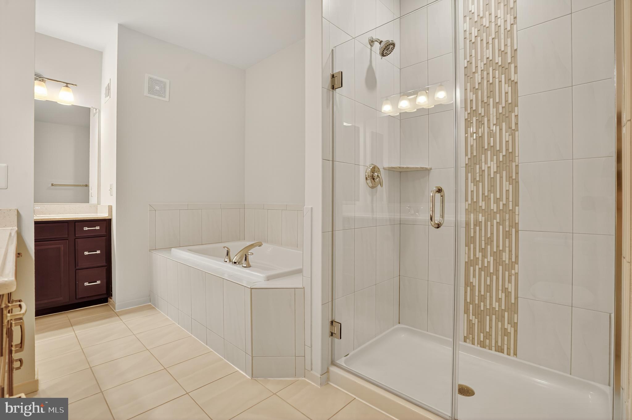 41956 Pickwick Mill Terrace Aldie, VA 20105 - Photo 26 of 47 Primary Bathroom