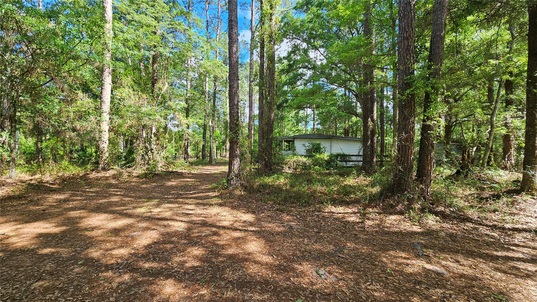 6324 Lannie Road Jacksonville, FL 32218 - Photo 59 of 60