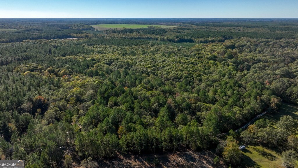 2 Old Savannah Road, Unit TRACT 2 Millen, GA 30442 - Photo 13 of 28