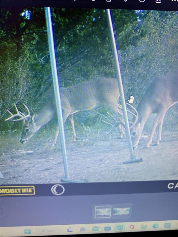 2975 North Fm 1702 Hamilton, TX 76531 - Photo 34 of 35 a view of a outdoor space