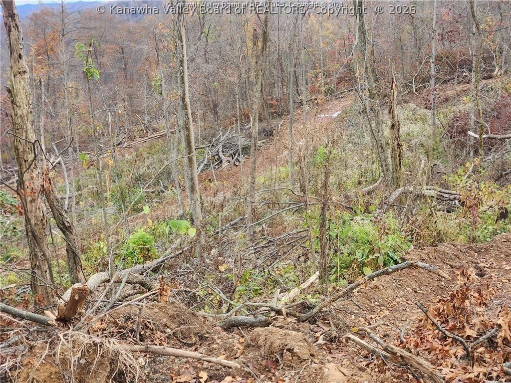 0 Beechy Road Procious, WV 25164 - Photo 21 of 29 Gallery Image 21