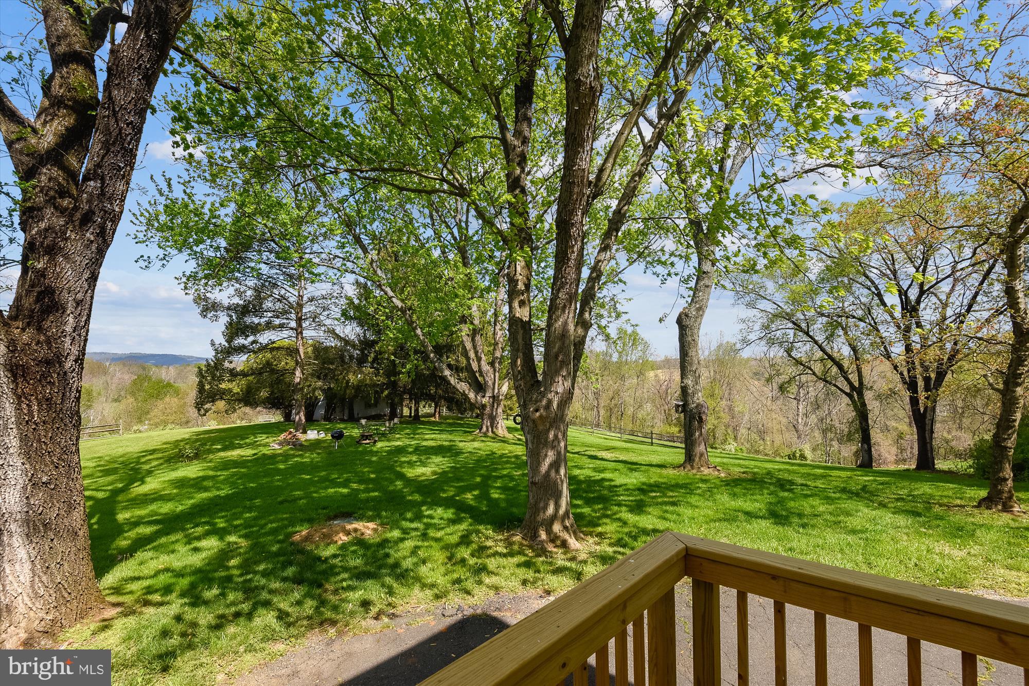 20209 St Louis Road Purcellville, VA 20132 - Photo 55 of 62 a view of a garden with a tree