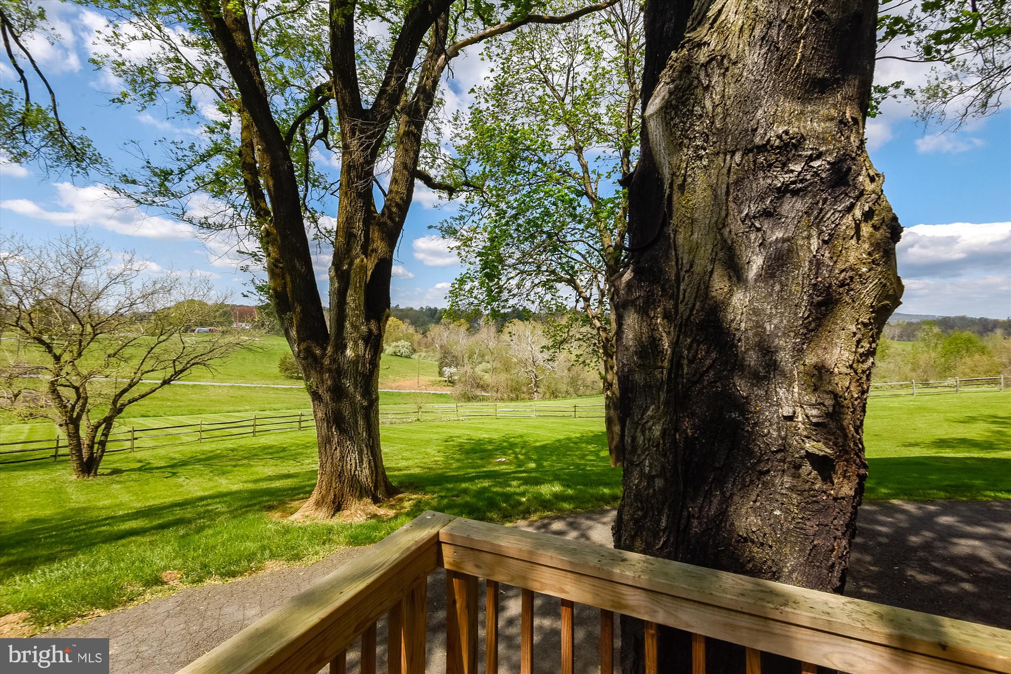 20209 St Louis Road Purcellville, VA 20132 - Photo 58 of 62 a view of a garden with a tree