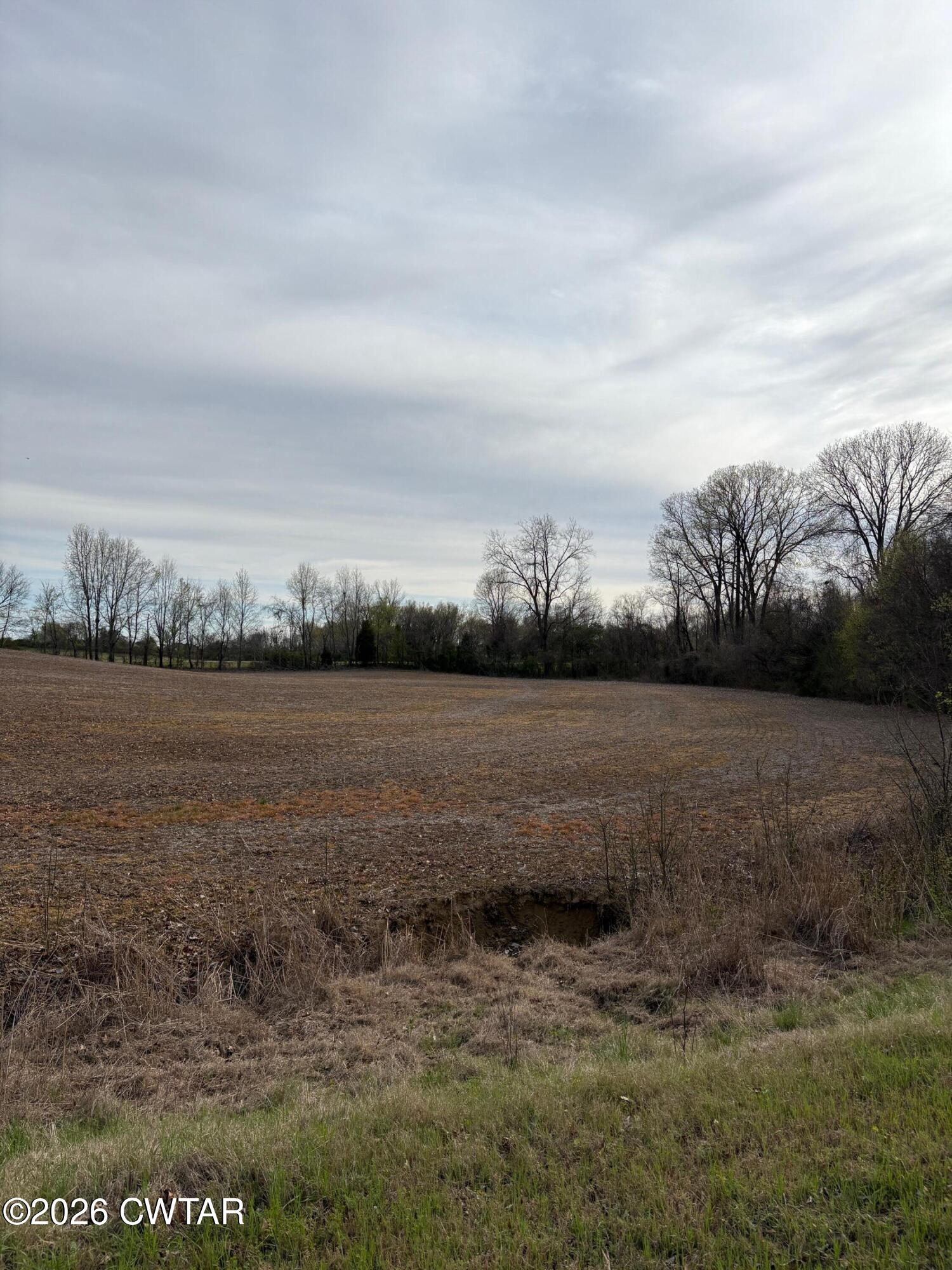 0 Radio Road Dyersburg, TN 38024 - Photo 5 of 5 IMG_1556