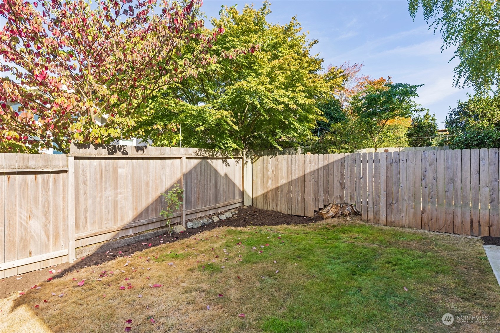 110 North 76th Street Seattle, WA 98103 - Photo 31 of 36 a view of a backyard with wooden fence