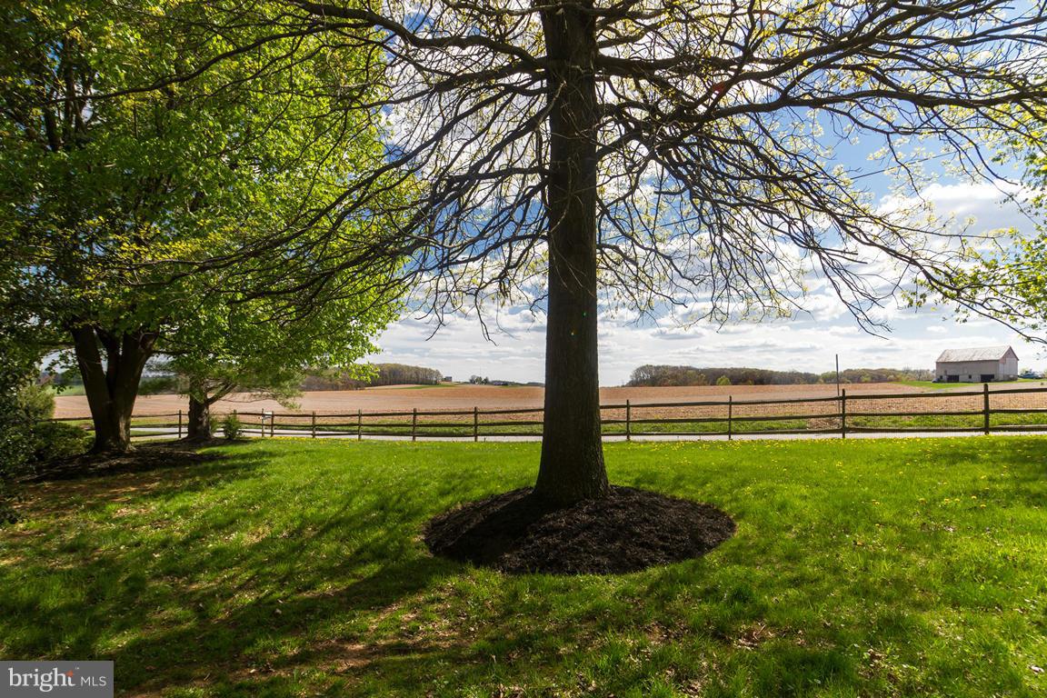 17615 Grace Road Hampstead, MD 21074 - Photo 8 of 30 a view of a backyard with large trees