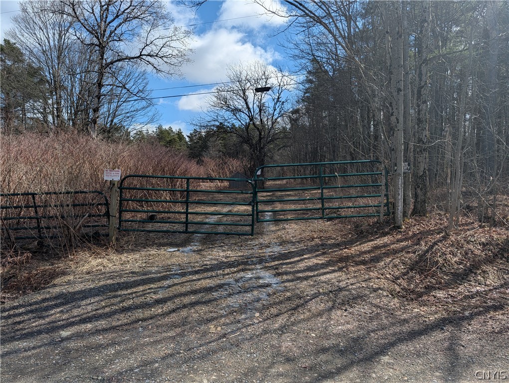154 Moon Hill Road Pharsalia, NY 13801 - Photo 1 of 39