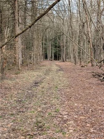 $119,900 | 154 Moon Hill Road, Pharsalia, NY 13801